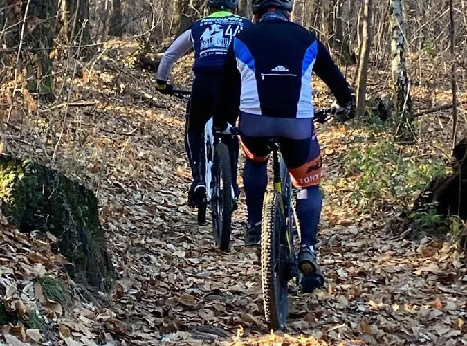 Gisa With Private Pool